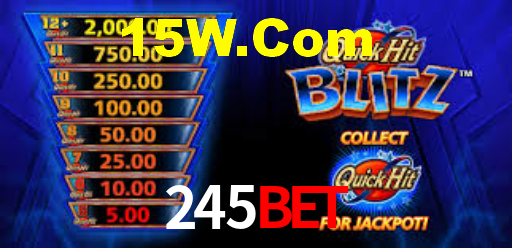 245bet App Interface